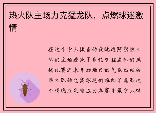 热火队主场力克猛龙队，点燃球迷激情