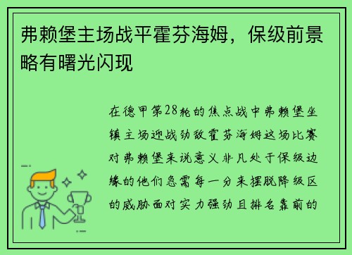 弗赖堡主场战平霍芬海姆，保级前景略有曙光闪现